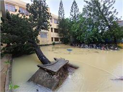 Bão số 9 làm 29 người chết và mất tích, 16 người bị thương